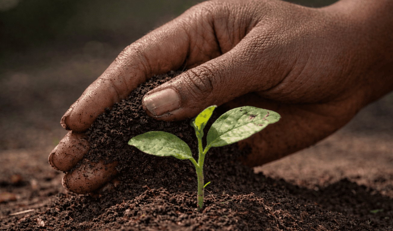 Bolivia verde y sustentable.